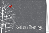 Season’s Greetings, White Tree, Red Bird, Snow card