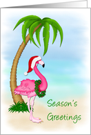 Pink Flamingo, Palm...