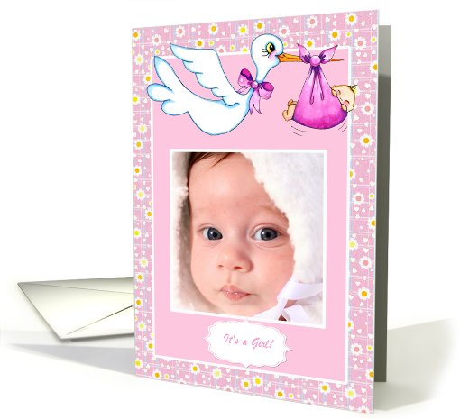 Stork, Daisies, Pink Baby Bundle Photo card (888586)