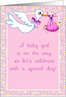 Stork Pink Baby Bundle Shower Invitation card