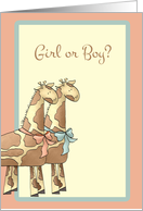 Peach, Green Giraffes Gender Reveal Invitation card