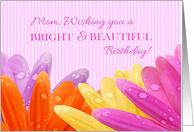 Daisy Petals, Water Drops, Pink Stripes, Mom Birthday card