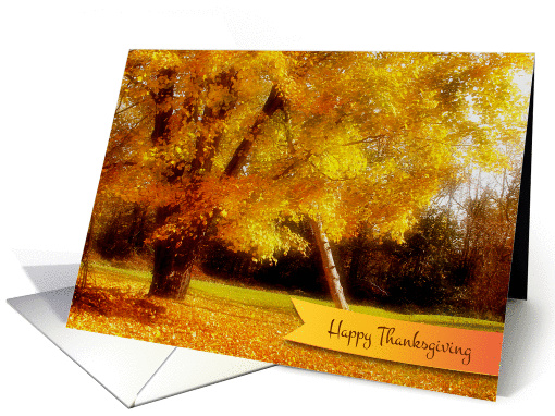 Thanksgiving Autumn Foliage card (975595)