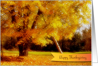 Thanksgiving Autumn Foliage Card