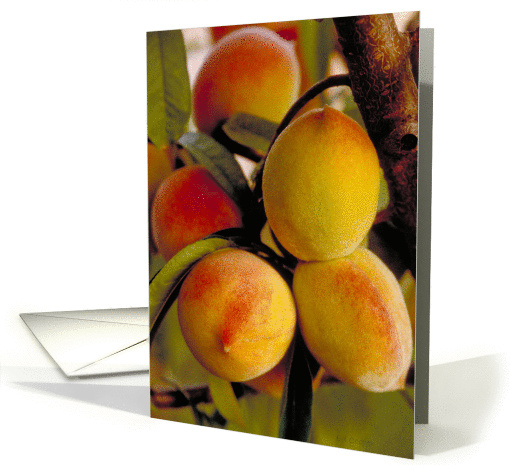 You're a Peach card (177591)