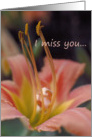 I Miss You card