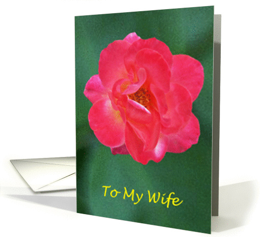 To My Wife card (178703)