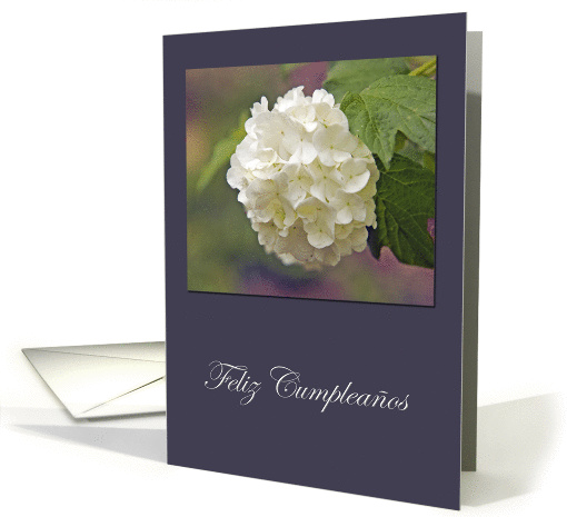 Feliz cumpleaos card (190825)