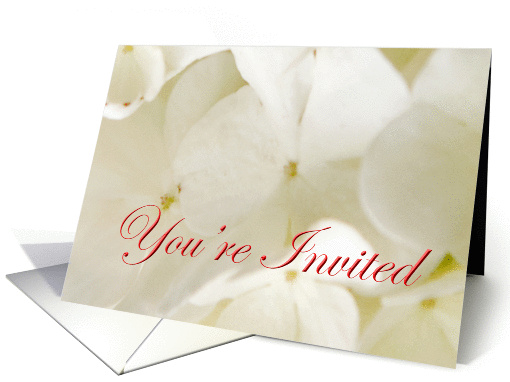 You're Invited card (192726)