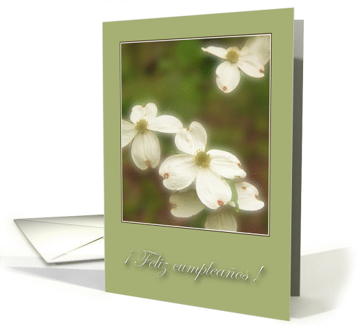  Feliz cumpleaos ! card (197078)