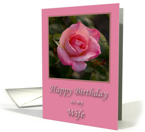 Happy Birthday- Wife card (200778)