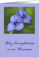 Feliz cumpleaos a mi hermosa card