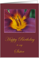 Happy Birthday to my Sister card