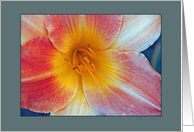 Lily card