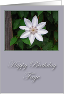 Happy Birthday Faye card