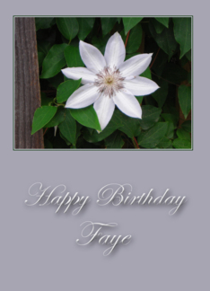 Happy Birthday Faye