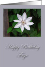 Happy Birthday Faye card