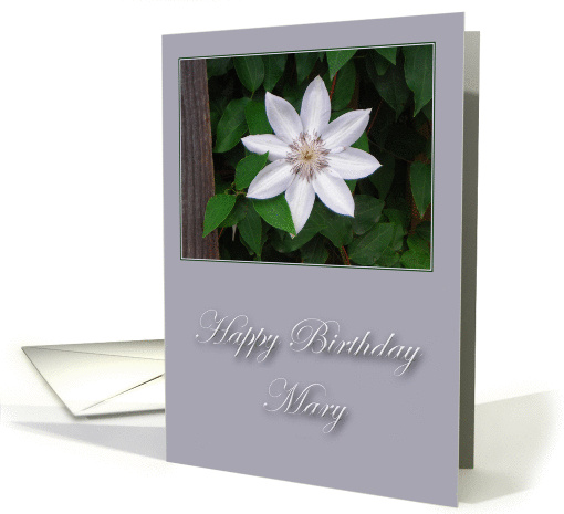 Happy Birthday Mary card (231413)