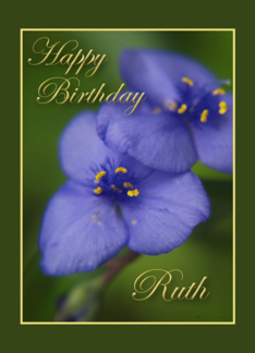Happy Birthday Ruth