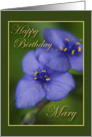 Happy Birthday Mary card