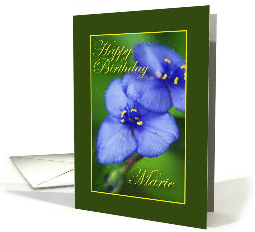 Happy Birthday Marie card (247501)