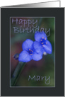 Happy Birthday Mary card