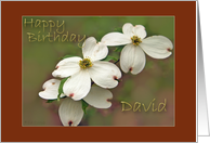 Happy Birthday David card