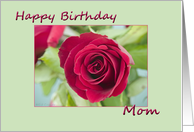 Happy Birthday Mom card