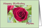 Happy Birthday Mom card
