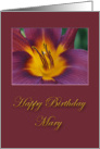 Happy Birthday Mary card