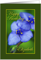 Happy Birthday Elizabeth card