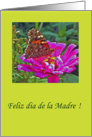 Feliz dia de la madre. card