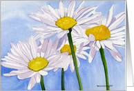 Daisies card