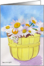 Sunny Daisies card