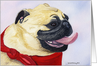 Pug Dog card