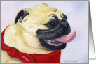 Pug Dog card