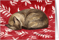 Siamese Cat card
