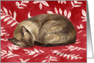 Siamese Cat card