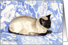 Siamese Cat card