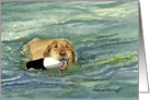 Golden Retriever Fetching card