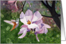 Magnolia and Hummingbird card