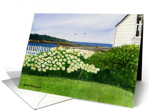 Beach House Daisies card (179908)