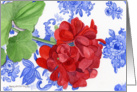 Geraniums on Plate card