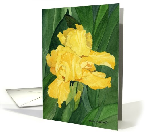 Yellow Iris card (700470)