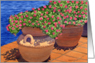 Flower Pots by the Water card