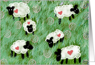 Sheep in the Pasture card