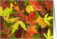 Backyard Leaves Card