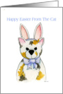 Happy Easter From the Cat Card