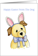 Happy Easter From the Dog Card