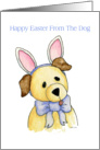 Happy Easter From the Dog Card